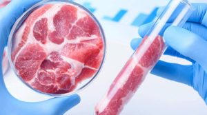 ce vom mai manca, criza alimentara globala